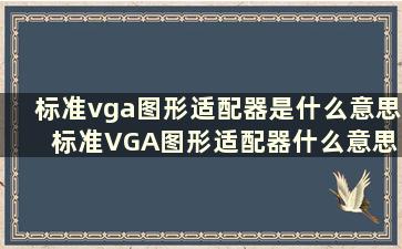 标准vga图形适配器是什么意思 标准VGA图形适配器什么意思